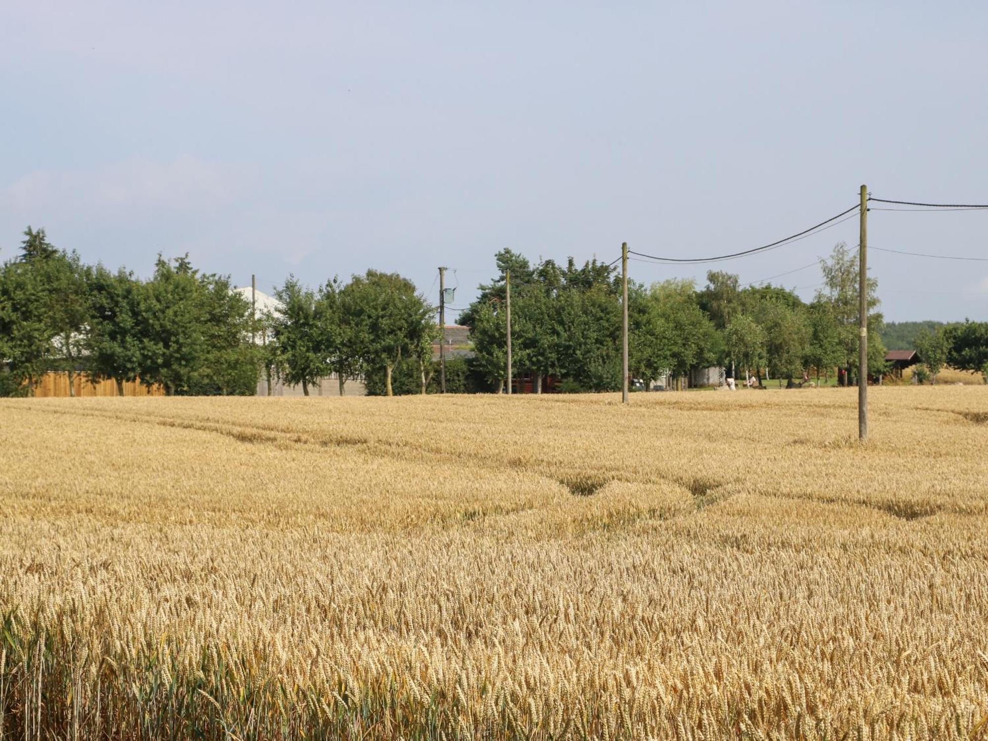Cornfield Northallerton Exterior foto