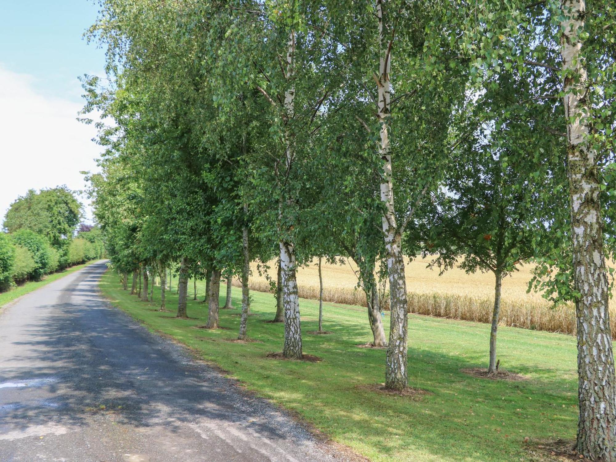 Cornfield Northallerton Exterior foto